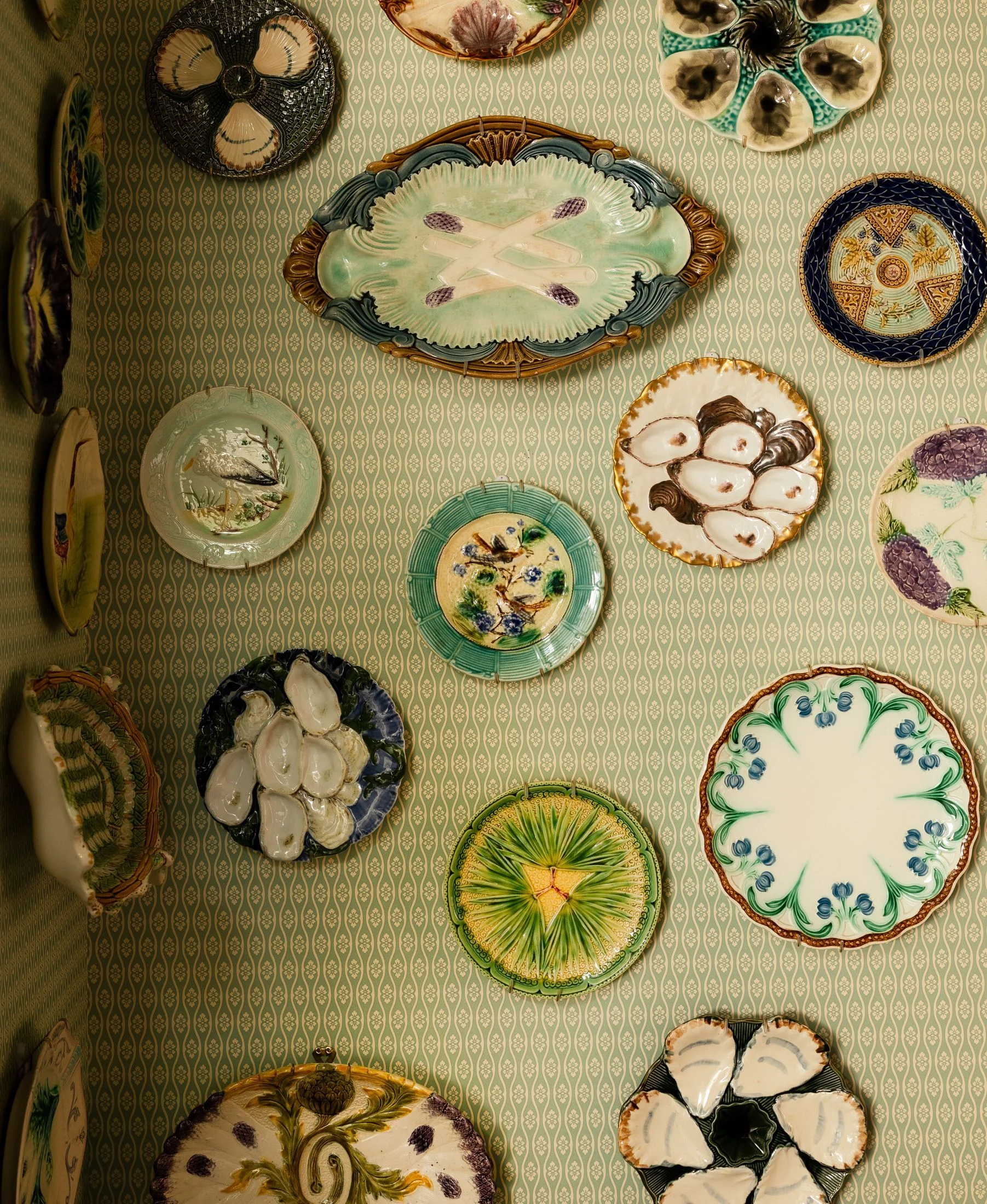 Top Oyster Plates for Every Home: Stainless Steel to Ceramic Choices