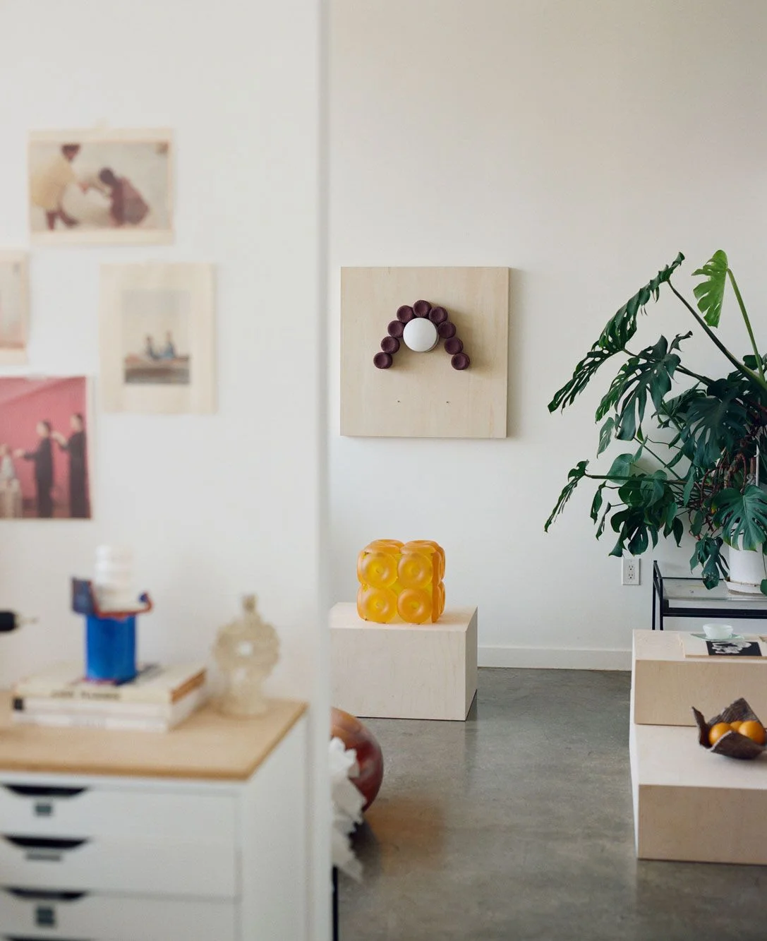 Image may contain Plant Potted Plant Indoors Interior Design Book Publication Home Decor Person and Box