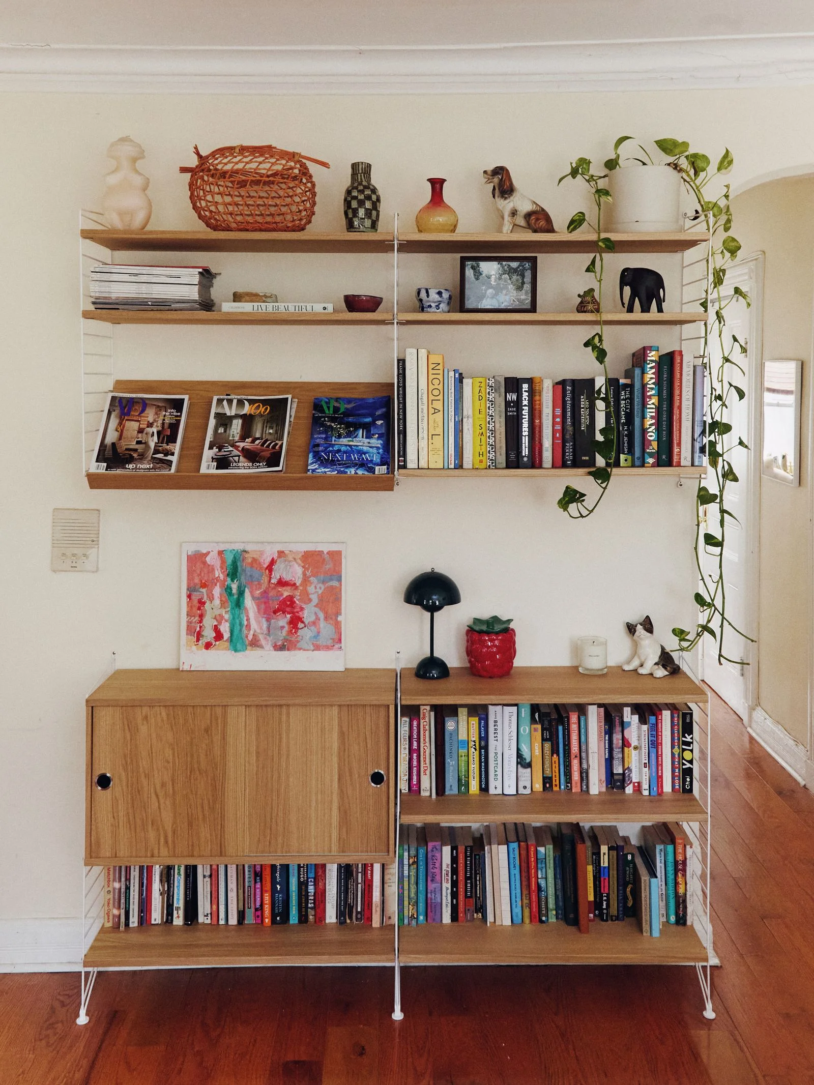 Image may contain Furniture Bookcase Animal Canine Dog Mammal Pet and Wood