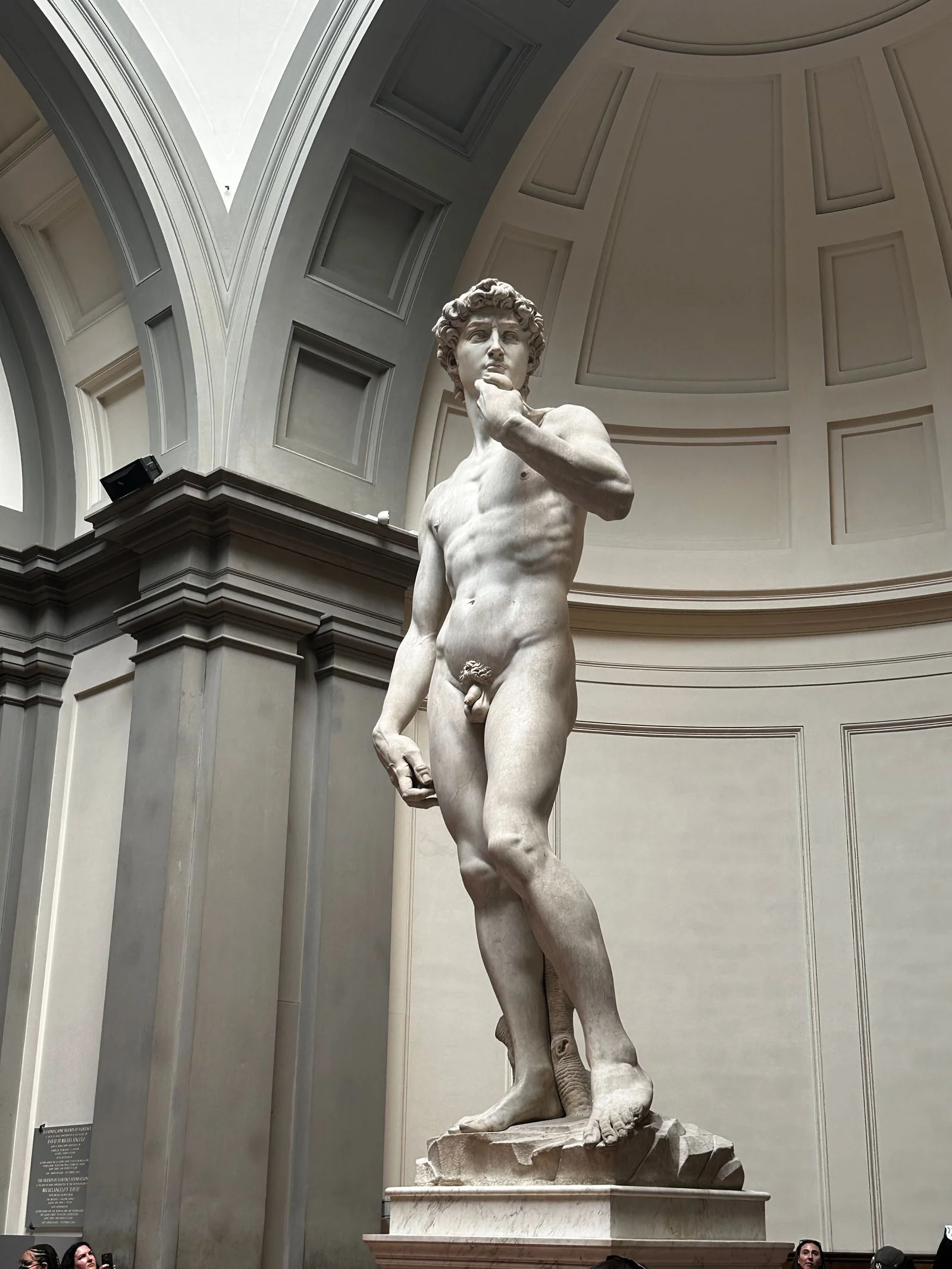 Michaelangelo's David statue.