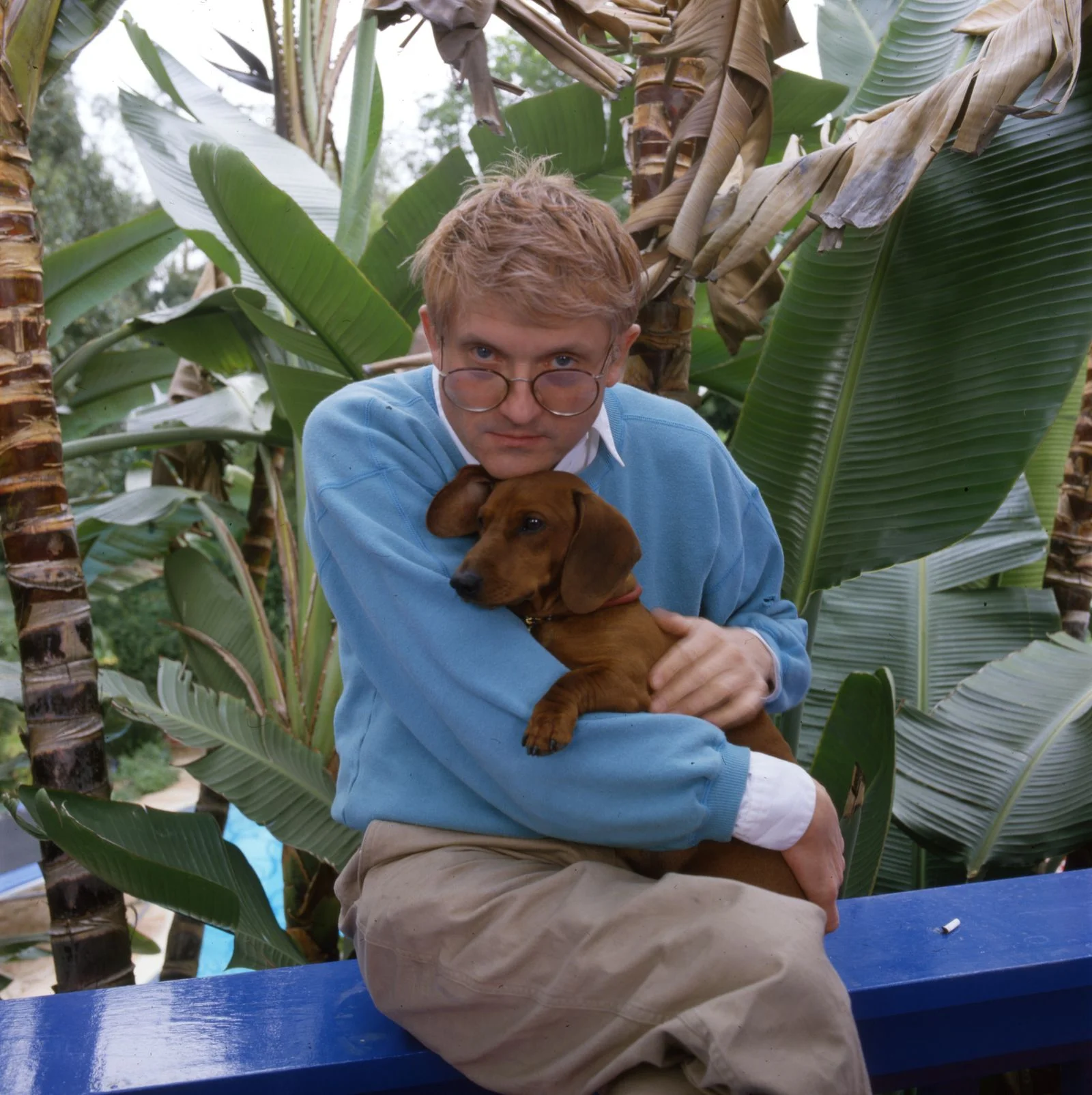 Image may contain David Hockney Face Head Person Photography Portrait Animal Canine Dog Mammal Pet and Puppy
