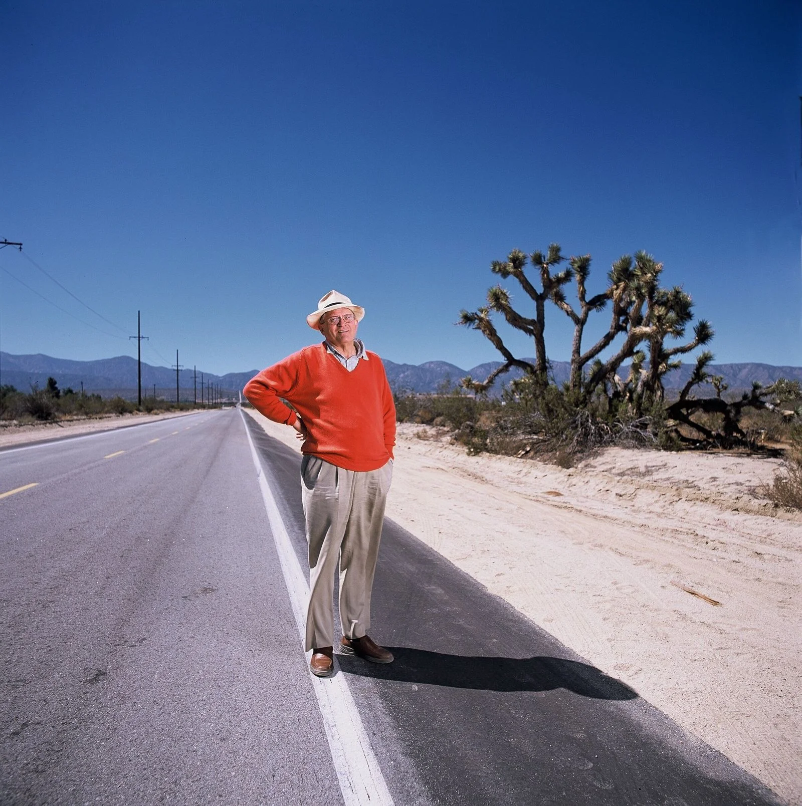 L'artiste anglais David Hockney sur Pear Blossom Highway lieu où a t ralis l'un de ses clèbres montages lors du tournage...