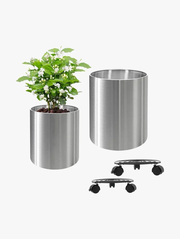 Image may contain: Plant, Potted Plant, Jar, Planter, Pottery, Vase, and Herbs